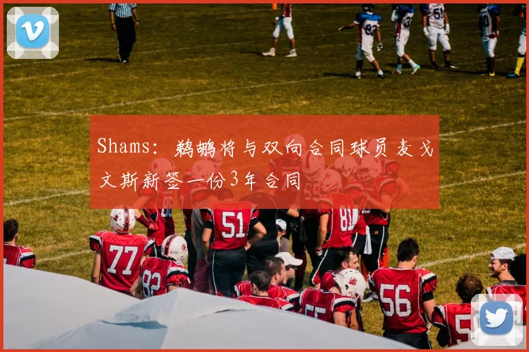 Shams：鹈鹕将与双向合同球员麦戈文斯新签一份3年合同